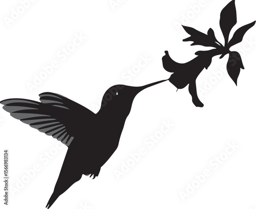 Hummingbird Drinking Nectar Silhouette Artvector silhouette of a bird