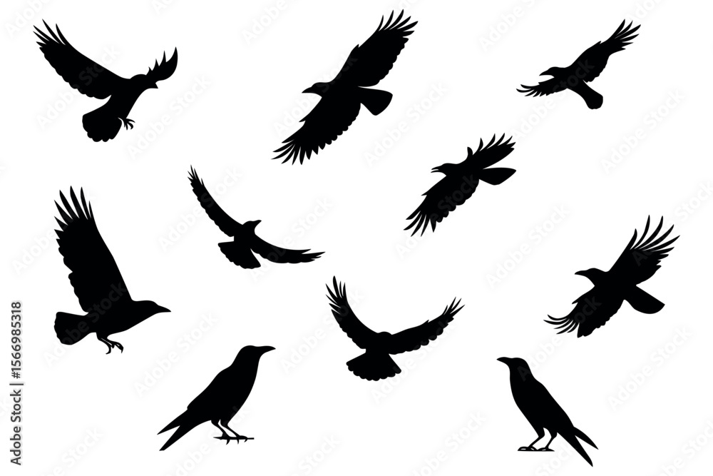 Obraz premium Crow black silhouettes set. bird silhouettes
