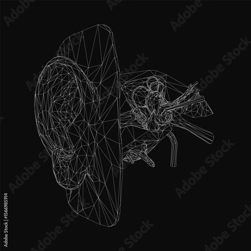 A wireframe illustration of a human ear with detailed inner structure, showing the anatomy of the hearing organ. White vector lines form the intricate design against a black background.