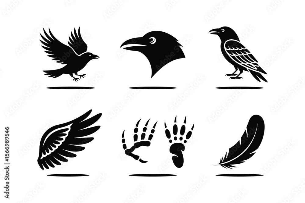 Obraz premium Black silhouettes of a flying crow a birds head claws and feather raven
