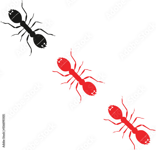 Black and red ants isolated on white background simple design