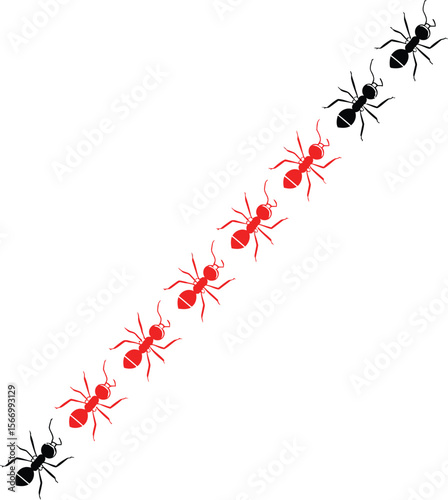 Red and black ants marching in diagonal line on white