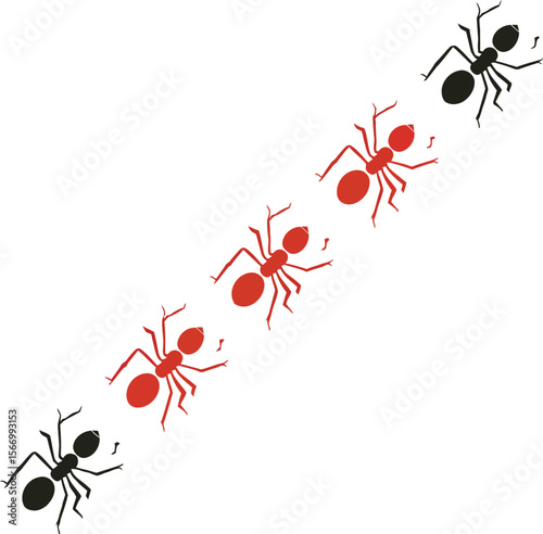 Red and black ants marching diagonal line white background