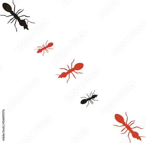 Black and red ants crawling on white background