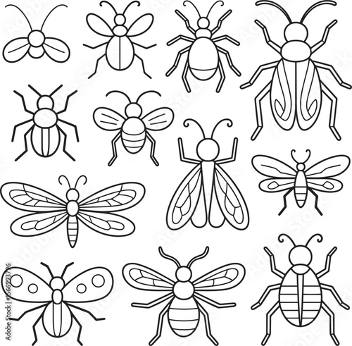 Detailed collection of beetles, ants, and other insects, ideal for science or educational illustrations.