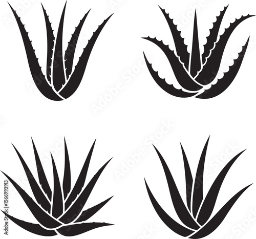 Aloe vera silhouette set vector illustration isolated On Transparent Background