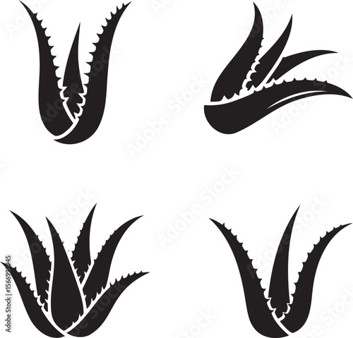Aloe vera silhouette set vector illustration isolated On Transparent Background