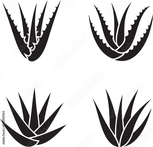 Aloe vera silhouette set vector illustration isolated On Transparent Background
