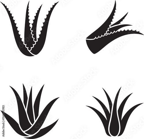 Aloe vera silhouette set vector illustration isolated On Transparent Background