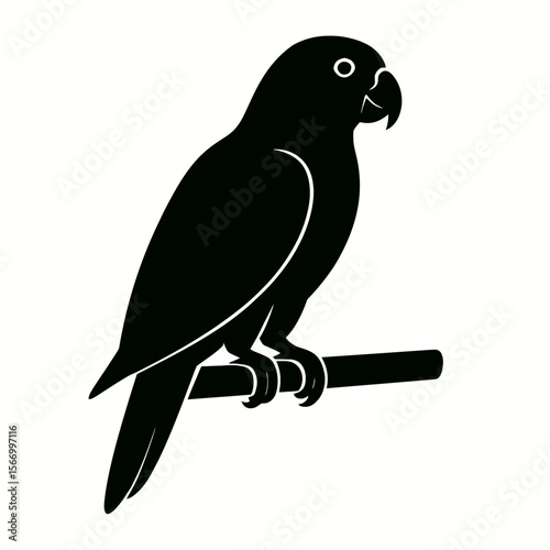 Design a black silhouette of a African Grey Parrot white background clean vector shape