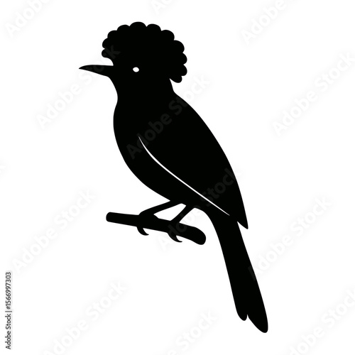 Design a black silhouette of a Amazonian Royal Flycatcher white background clean vector shape