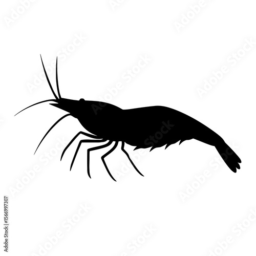 Design a black silhouette of a Amano Shrimp white background clean vector shape