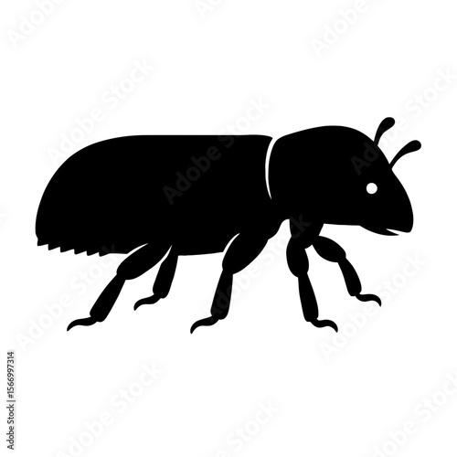 Design a black silhouette of a Ambrosia Beetle white background clean vector shape