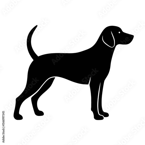 Design a black silhouette of a American Foxhound white background clean vector shape