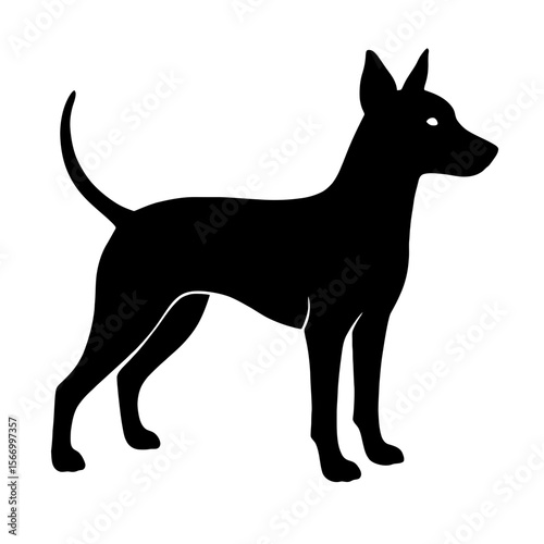 Design a black silhouette of a American Hairless Terrier white background clean vector shape