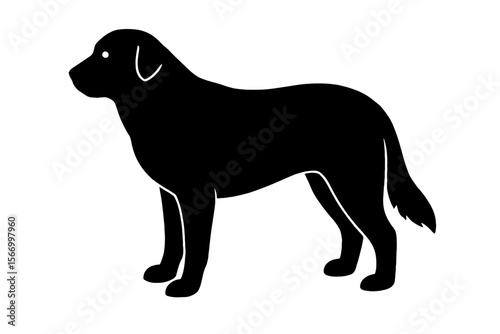 Design a black silhouette of a Armenian Gampr white background clean vector shape