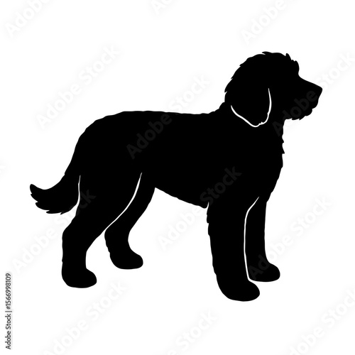 Design a black silhouette of a Aussiedoodle white background clean vector shape