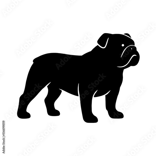 Design a black silhouette of a Australian Bulldog white background clean vector shape