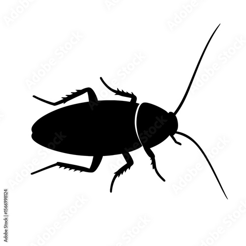 Design a black silhouette of a Australian Cockroach white background clean vector shape