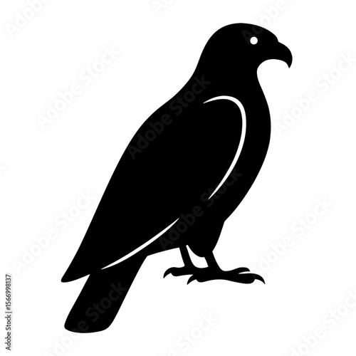 Design a black silhouette of a Australian Firehawk white background clean vector shape