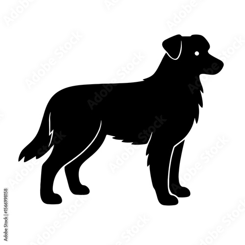 Design a black silhouette of a Australian Shepherd Mix white background clean vector shape