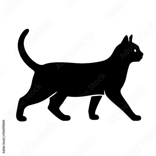 Design a black silhouette of a Australian Mist white background clean vector shape