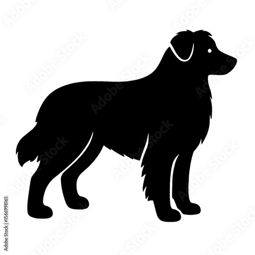 Design a black silhouette of a Australian Shepherd white background clean vector shape