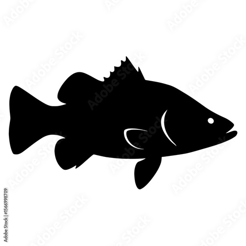 Design a black silhouette of a Barramundi Fish white background clean vector shape
