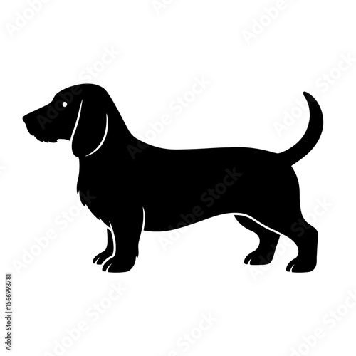 Design a black silhouette of a Basset Fauve de Bretagne white background clean vector shape
