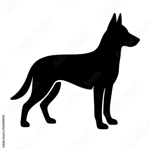 Design a black silhouette of a Belgian Malinois white background clean vector shape