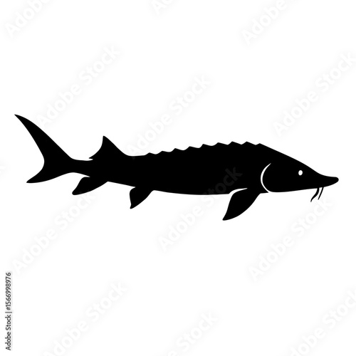 Design a black silhouette of a Beluga Sturgeon white background clean vector shape