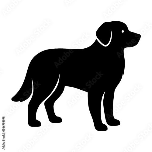 Design a black silhouette of a Bernese Mountain Dog Mix white background clean vector shape