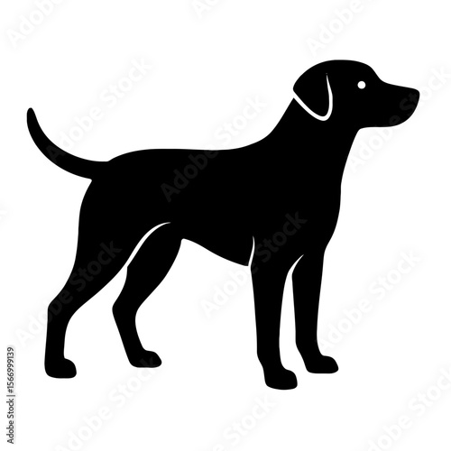 Design a black silhouette of a Black Mouth Cur white background clean vector shape