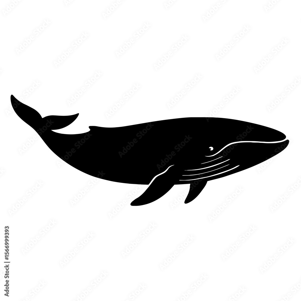 Obraz premium Design a black silhouette of a Blue Whale white background clean vector shape