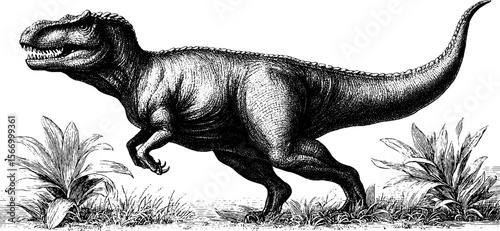 Carnotaurus dinosaur hunting in a vintage engraved scene with volcanic landscape