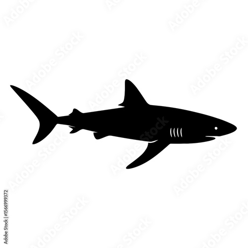 Design a black silhouette of a Blue Shark white background clean vector shape