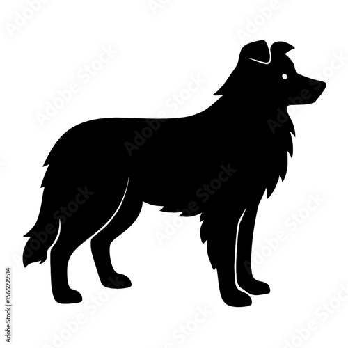 Design a black silhouette of a Border Collie white background clean vector shape