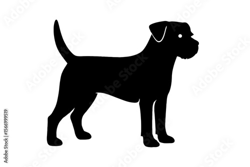 Design a black silhouette of a Border Terrier white background clean vector shape