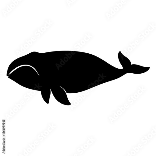 Design a black silhouette of a Bowhead Whale white background clean vector shape