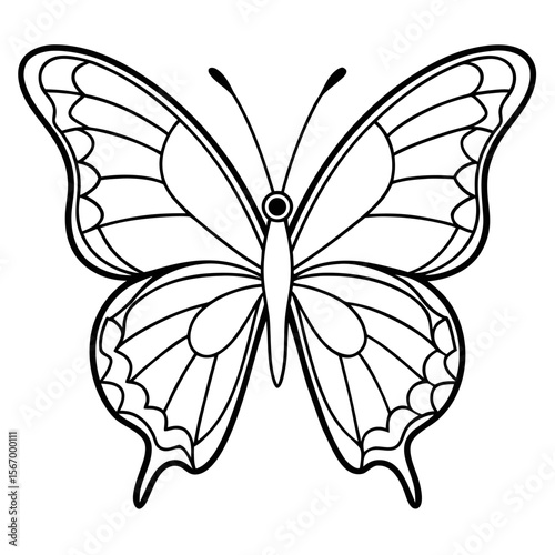 butterfly on a white background