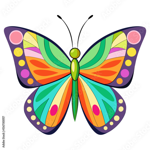butterfly on a white background