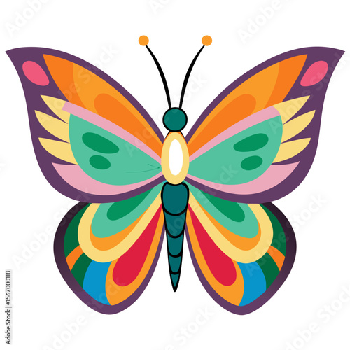 butterfly colorful vector 