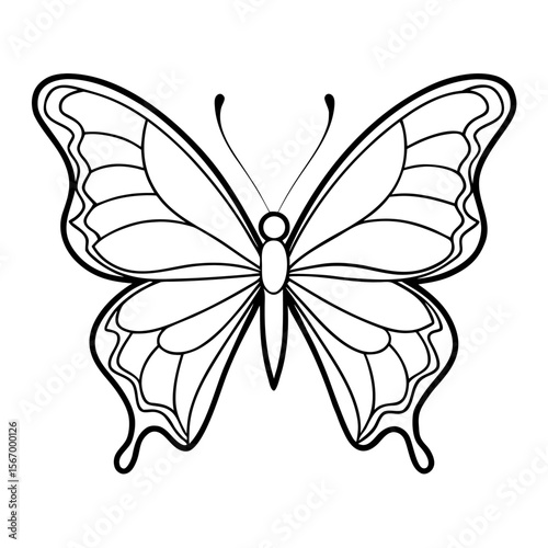 butterfly vector illustration