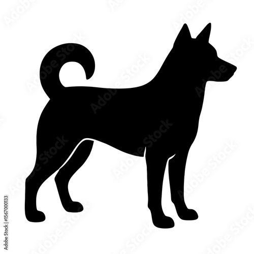 Design a black silhouette of a Canaan Dog white background clean vector shape