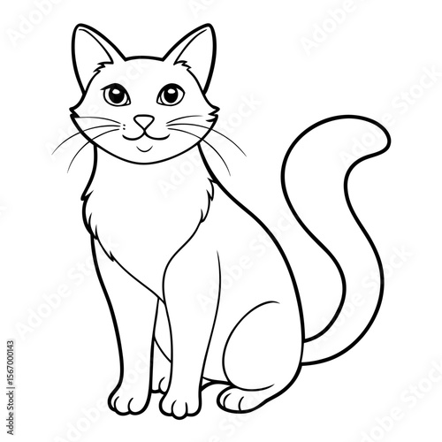 black and white cat