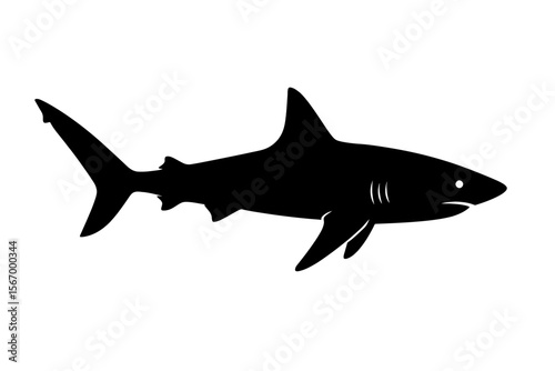 Design a black silhouette of a Caribbean Reef Shark white background clean vector shape