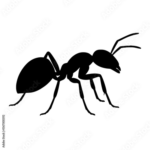 Design a black silhouette of a Carpenter Ant white background clean vector shape