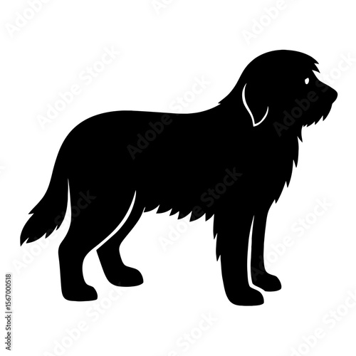 Design a black silhouette of a Catalan Sheepdog white background clean vector shape