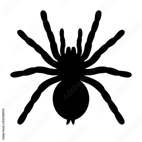Design a black silhouette of a Chilean Rose Tarantula white background clean vector shape