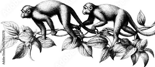 Vintage hand drawn monkeys swinging through dense jungle lianas illustration